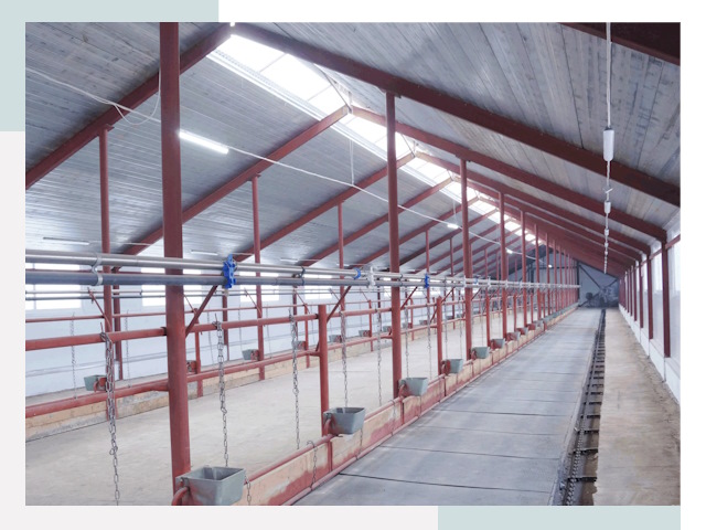 Строительство коровников в Каменке от 607 руб.