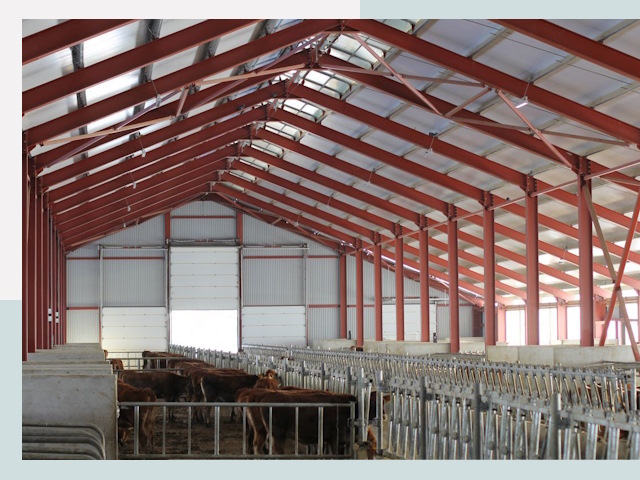 Строительство коровников в Каменке