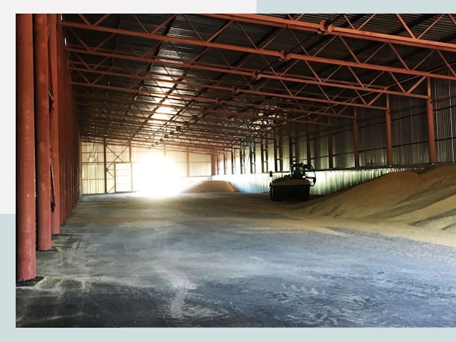 Строительство зернохранилищ в Каменке