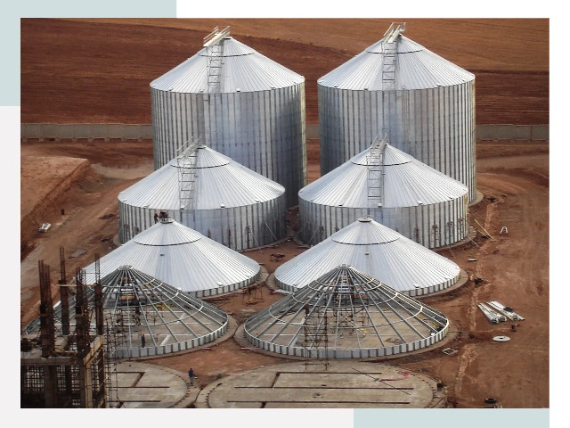 Строительство зерновых силосов в Каменке